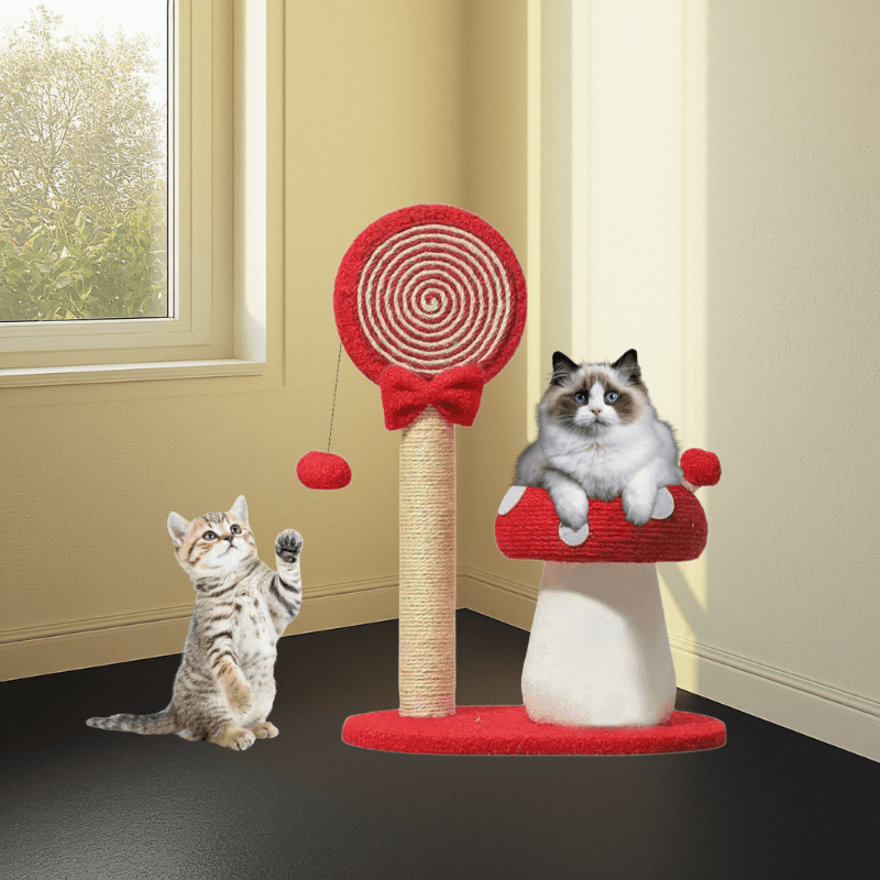 Two cats interacting with a red and white cat tree in a room with a window.