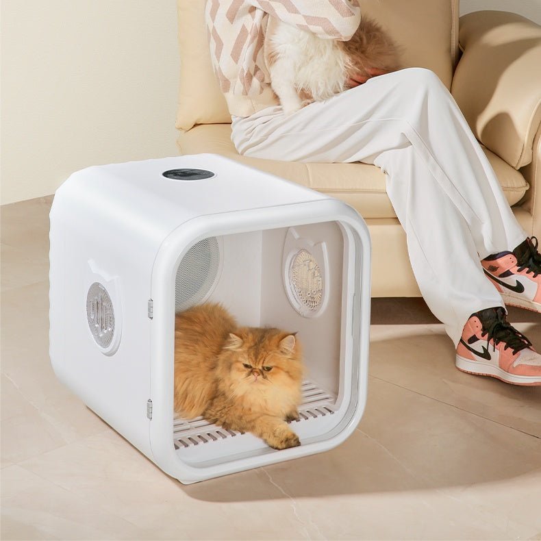 Cat lying inside a white pet dryer cube on a tiled floor with a person sitting on a couch in the background.