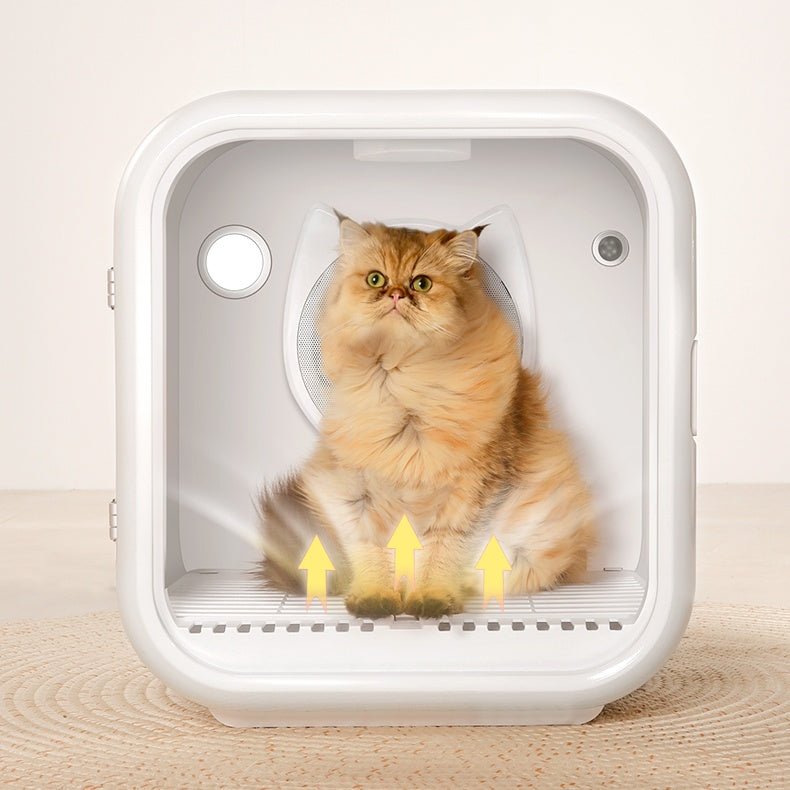 A cat sitting inside a Cat Dryer Box with UV Sterilization