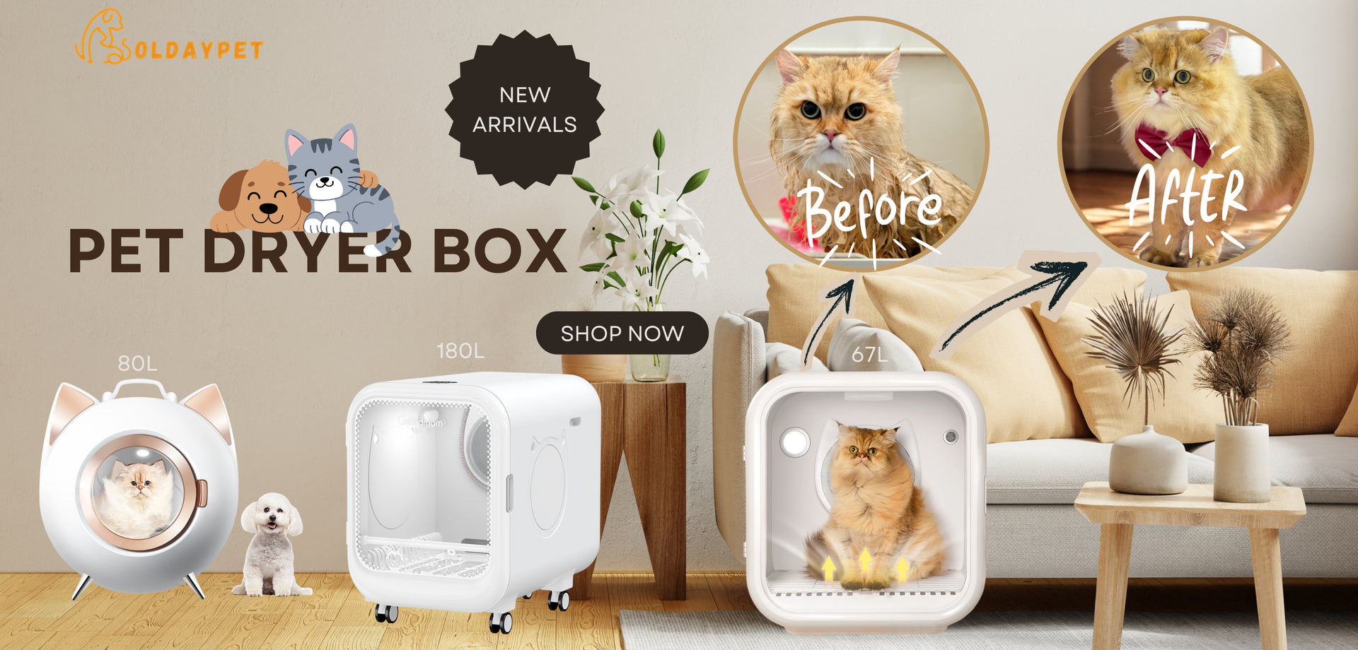 Pet dryer box with before and after effects on a living room background, featuring a brand logo.