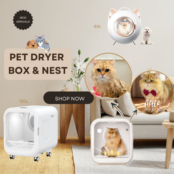 Pet dryer box and nest with a cat inside, promotional banner with 'Shop Now' button.