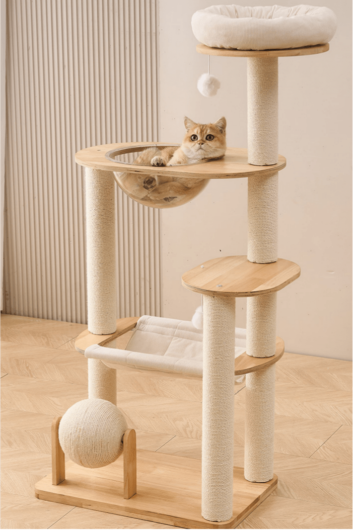 Real Wood Cat Trees For Large Cat | Oak W4 - Soldaypet