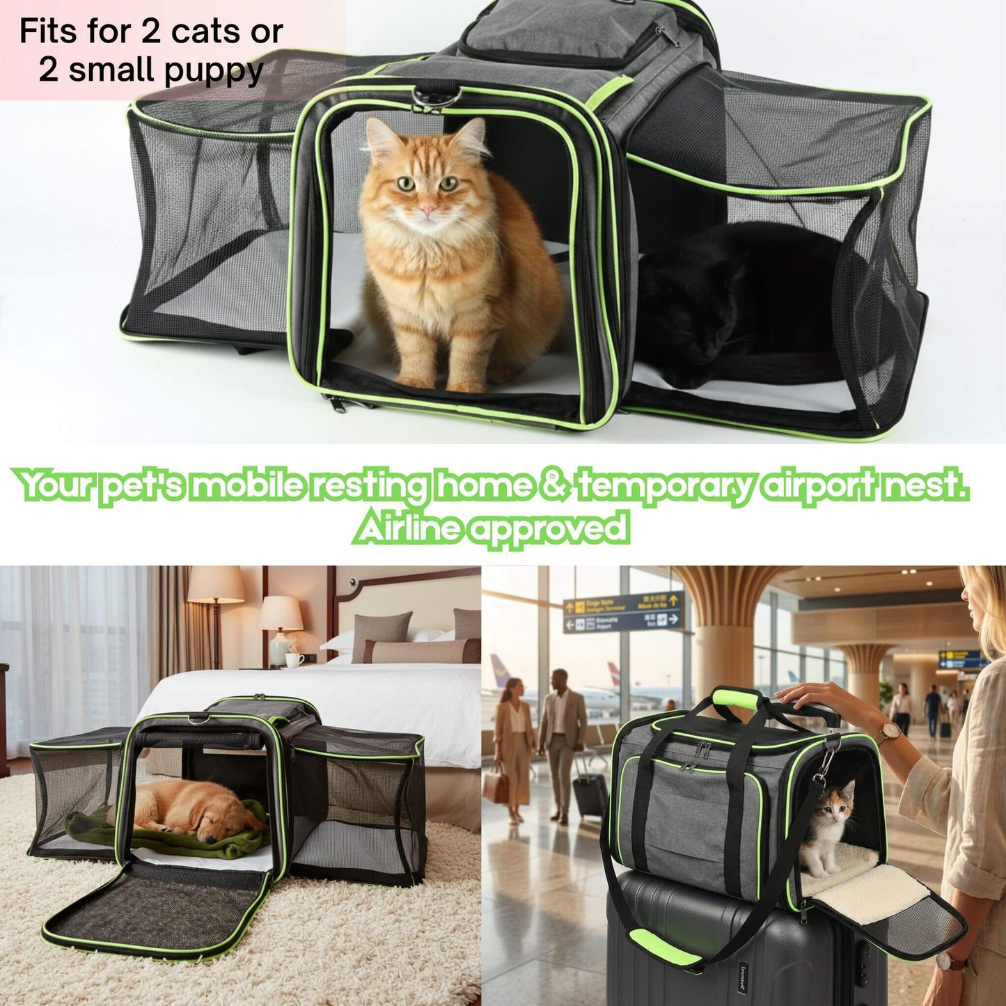 Soft-Sided Black Cat Carrier for Large Cats Maine Coon - Soldaypet