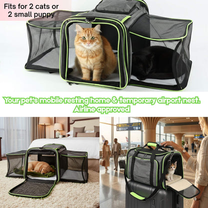 Soft-Sided Black Cat Carrier for Large Cats Maine Coon - Soldaypet