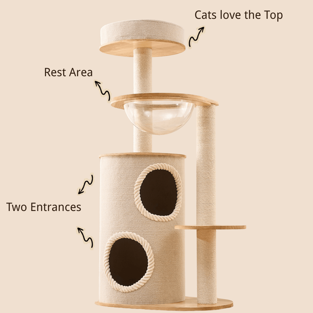A beige large cat tree with two circular entrances, a clear bowl, a scratching post, and a top platform, shown on a light beige background with black callout text and arrows.