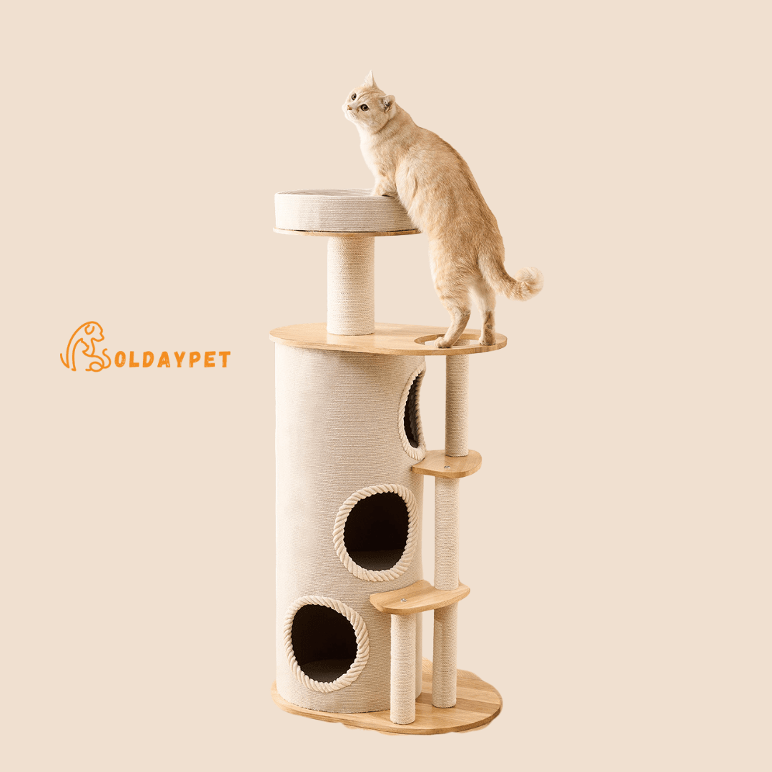 A multi-level cat tree with a cylindrical sisal-wrapped body, wooden platforms, two cat holes, and a scratching post, shown with a light-colored cat standing on the top platform. The SOLDAYPET brand logo is visible on the left against a solid beige background.