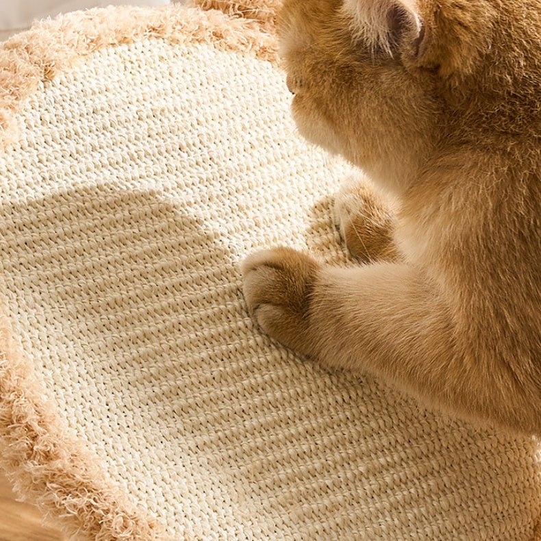 Close-up of a cat's paw on a sisal cat scratching board surface