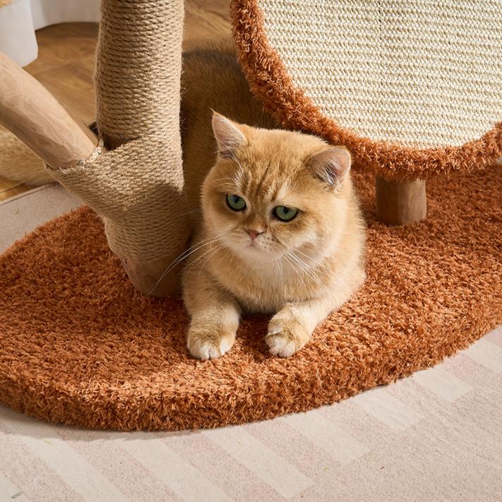 Cat sitting on a brown real wood cat tree with carpet surface.
