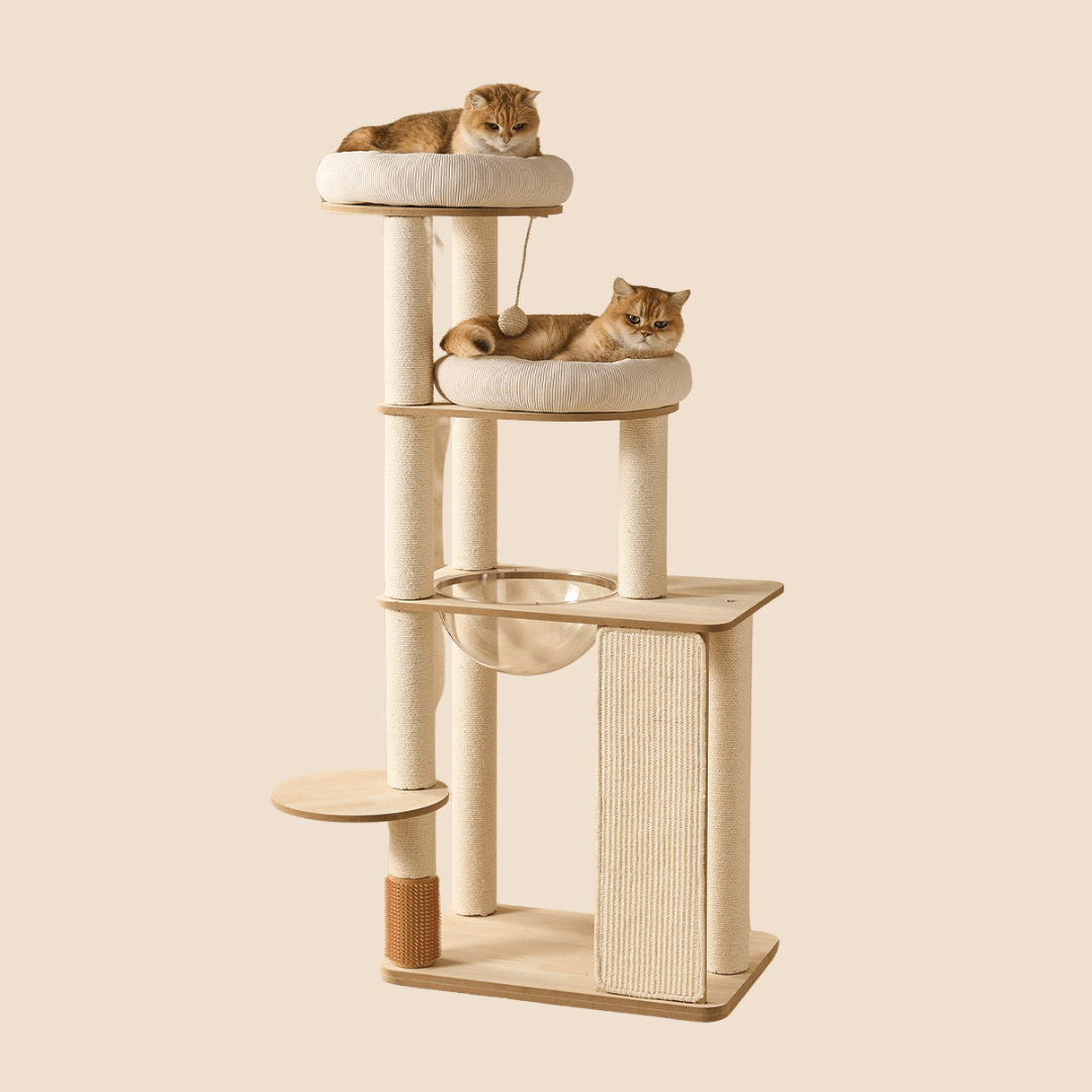 A tall multi-level cat tree with cream-colored sisal-wrapped posts, wooden platforms, a hanging toy, an acrylic cat bed, and two orange cats resting on cushioned perches against a solid beige background.